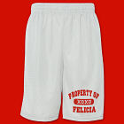 Property of My Valentine Men's Personalized Mesh Shorts